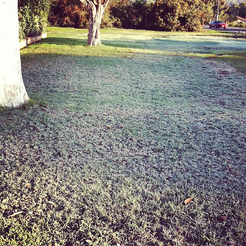 Frost?! Where am I...Chicago?
