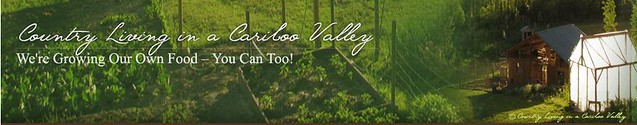 Country Living in a Cariboo Valley
