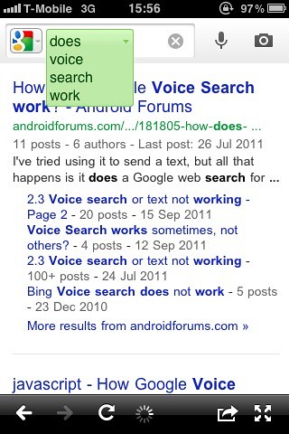 Does voice search work?