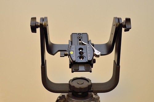 Manfrotto 393 Gimble with RSS Clamp D7K_3700
