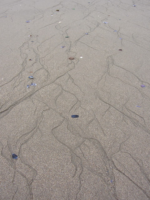 Locarno Beach, 28 Jan 2012