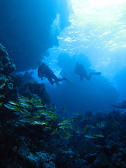 Halahi Reef