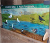 Interpretation Board. Acrylics. Donation to Wildlife Trust of South & West Wales