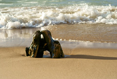 Warren Dunes / Weko Beach - 2012
