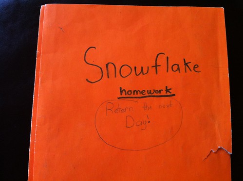 Folder for "Snowflake Gets Lost"