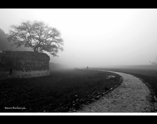 Nella nebbia... by mono71