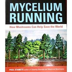 Cover of Mycelium Running features a forest illustration and the words How Mushrooms Can Help Save the World