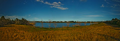 Indrio Savannahs Lake Panorama HDR