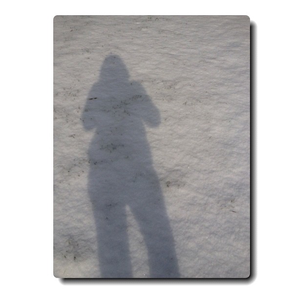 14/365+1 Walk in The Snow #shadow #silhouette