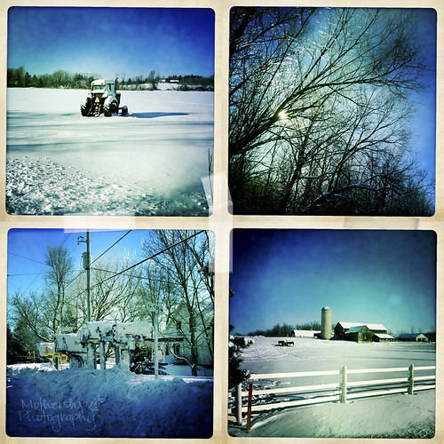 Vignettes of Manotick on a really cold but pretty winter afternoon
