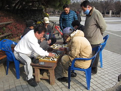 Baduk players in the park