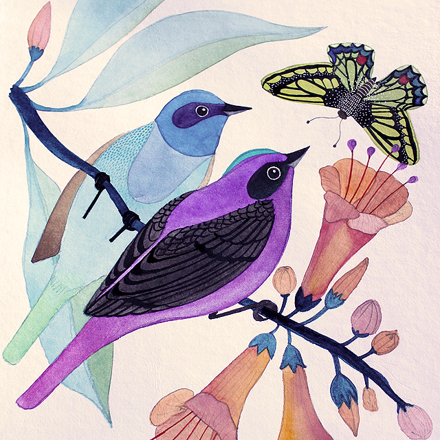 birds and butterfly