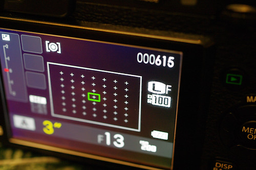 FUJIFILM X-Pro1 LCD Monitor
