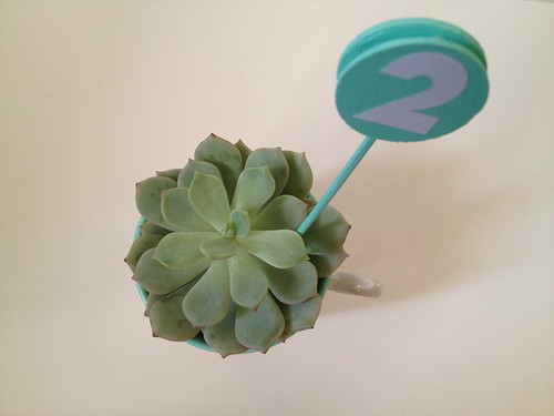 Custom Color Teacup Succulent and Table Number 12