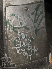 Sabe Graffiti