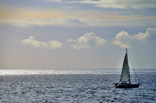 Ocean Sail. By R J Watson