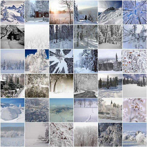 Winter Favorites by Pixy5 /Babushka