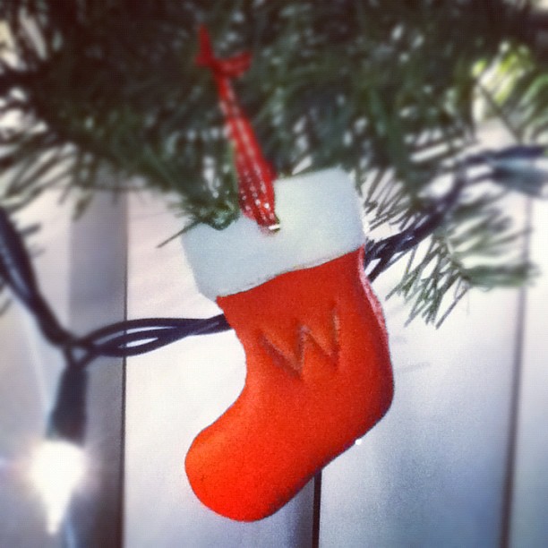 Squishy's special ornament this year...