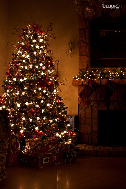Arbol de Navidad - Christmas Tree - Feliz Navidad - Merry Christmas