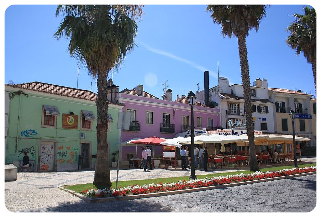 cascais street with palm trees