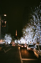 Day 7 六本木馬路上拍東京鐵塔