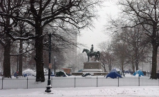 Snow - January 21, 2012
