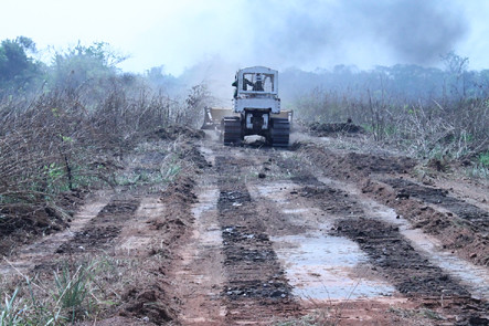 Congo Helipad Clearing 2738