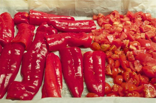 salsa/roasted peppers