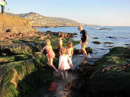 First day in the tide pools