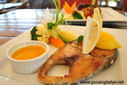 parmesan crusted sword fish