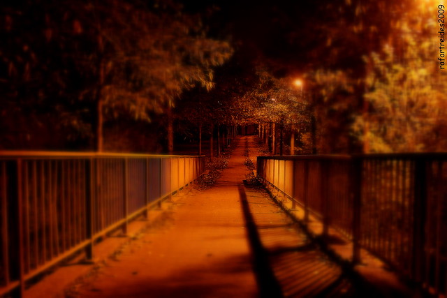 Leuven night fence