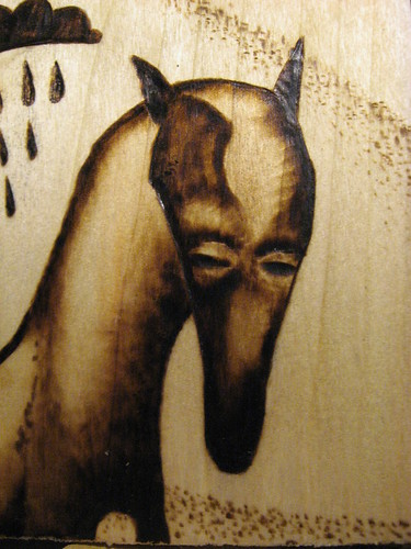 sad horses closeup