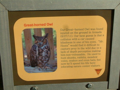 Great Horn Owl. Stony Creek Nature Center. by Sunshine Gorilla