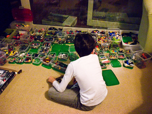 Organized Legos.