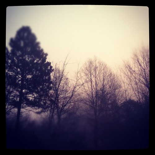 #iphoneography #instagramhub #instagood #justnow #morning #trees #fog #atlanta