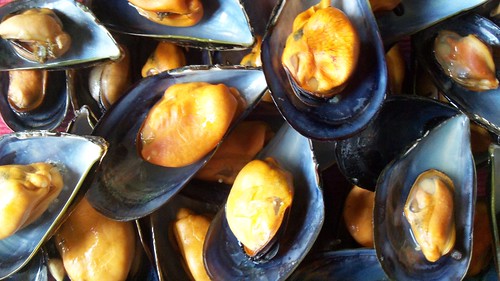 mussels 1