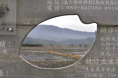 20120118-米粒.JPG-1