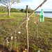brasilia lago norte lixocultural 29dez11 053