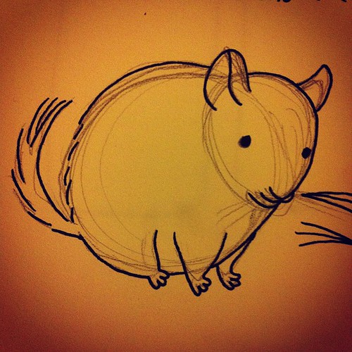 Trying to draw a chinchilla.