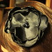 black flower hair/purse/shirt clip