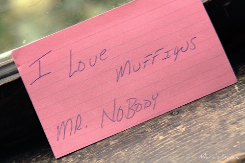A Love Note From Mr. Nobody