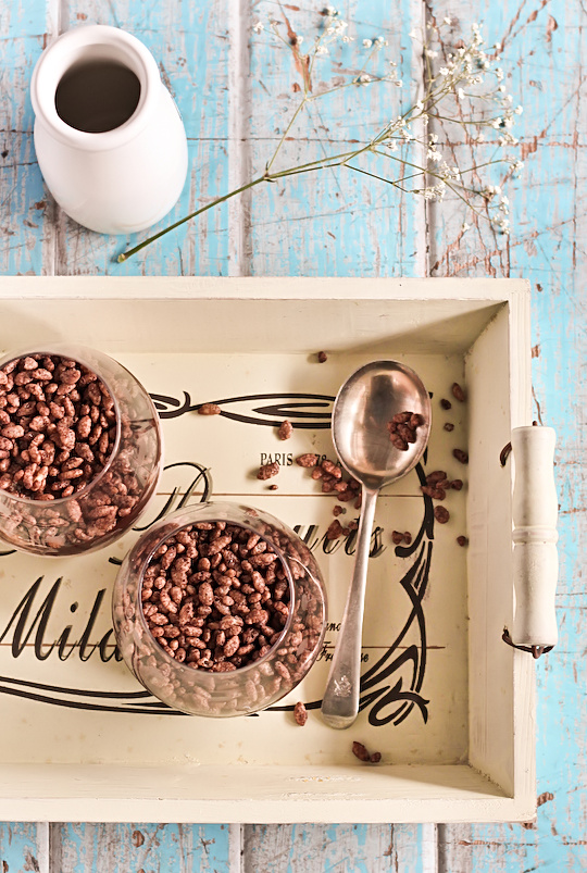 chocolate_cereal_mousse-7