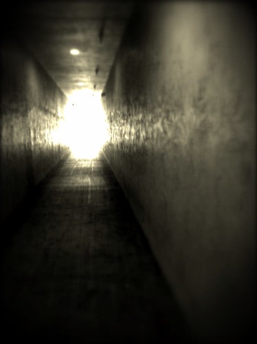 165/365- Light at the end by elineart