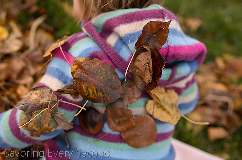Fall Leaves44-Edit.jpg