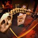 Giant Mysterious Dinosaurs Exhibit at The Franklin Institute  (19)