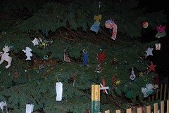 2011.12.01; Keansburg Tree Lighting