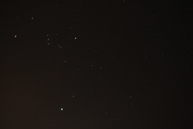 orion in the night