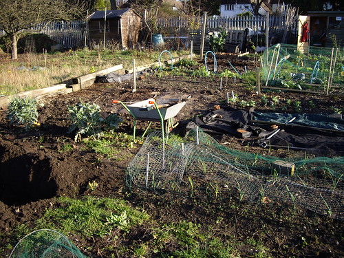 Down the allotment 2