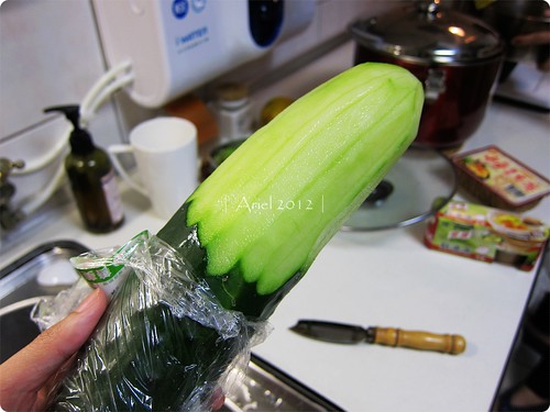 Big cucumber