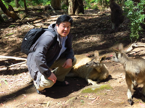 wallaby & me